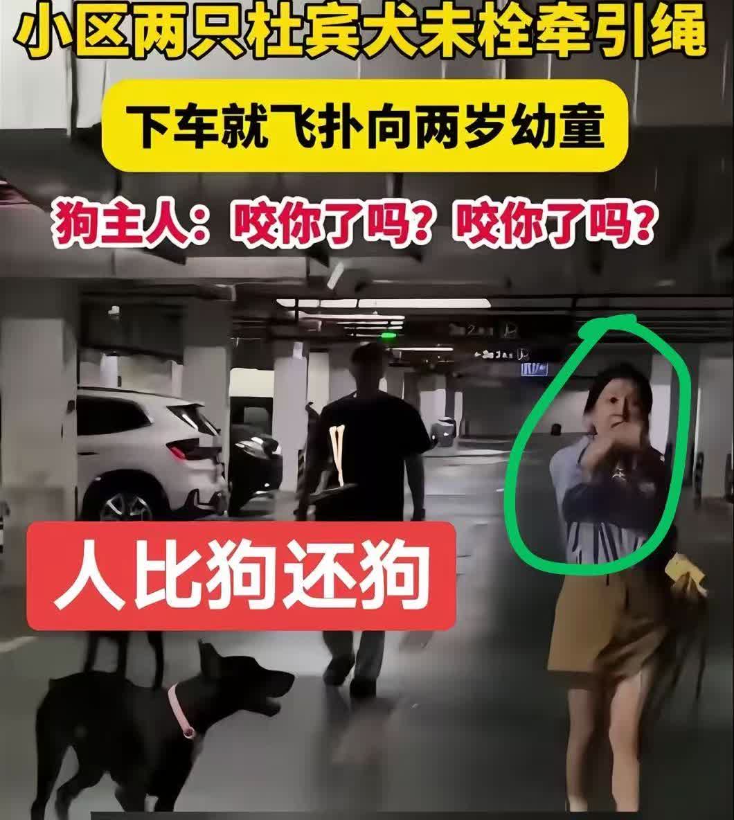 破案了！为何2只杜宾犬没栓牵引绳，险先飞扑2岁幼童，女养狗人还这么嚣张不
