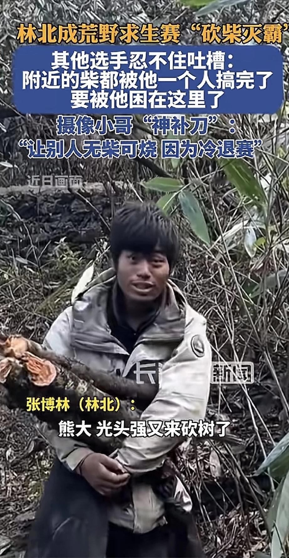 这个林北简直是荒野求生里的“砍柴狂魔”！别的选手还在找柴火，他已经把附近的柴