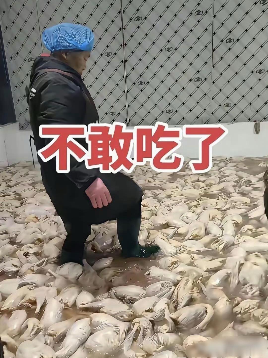 天呐！大家赶紧给孩子看看，这还敢吃吗？