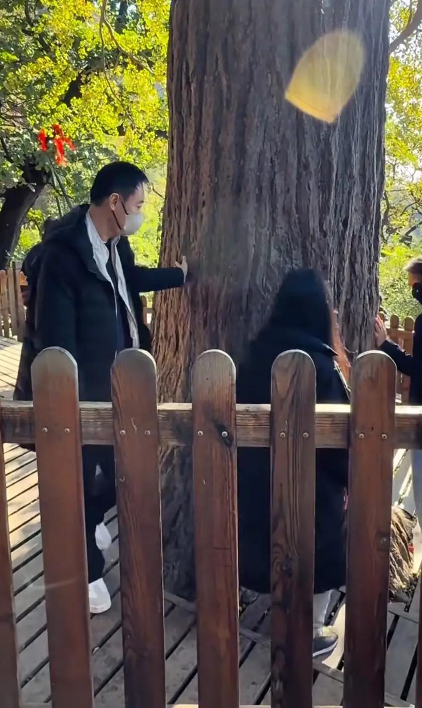 辛柏青真是一个妥妥的忠情之人。自从爱妻朱媛媛去世之后，辛柏青的"天"好似瞬间