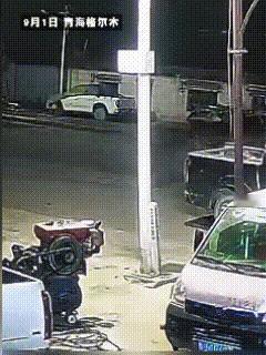 青海格尔木，一名务工男子夜间在镇上行走，无意间靠近野生藏马熊幼崽，彻底激怒护崽母