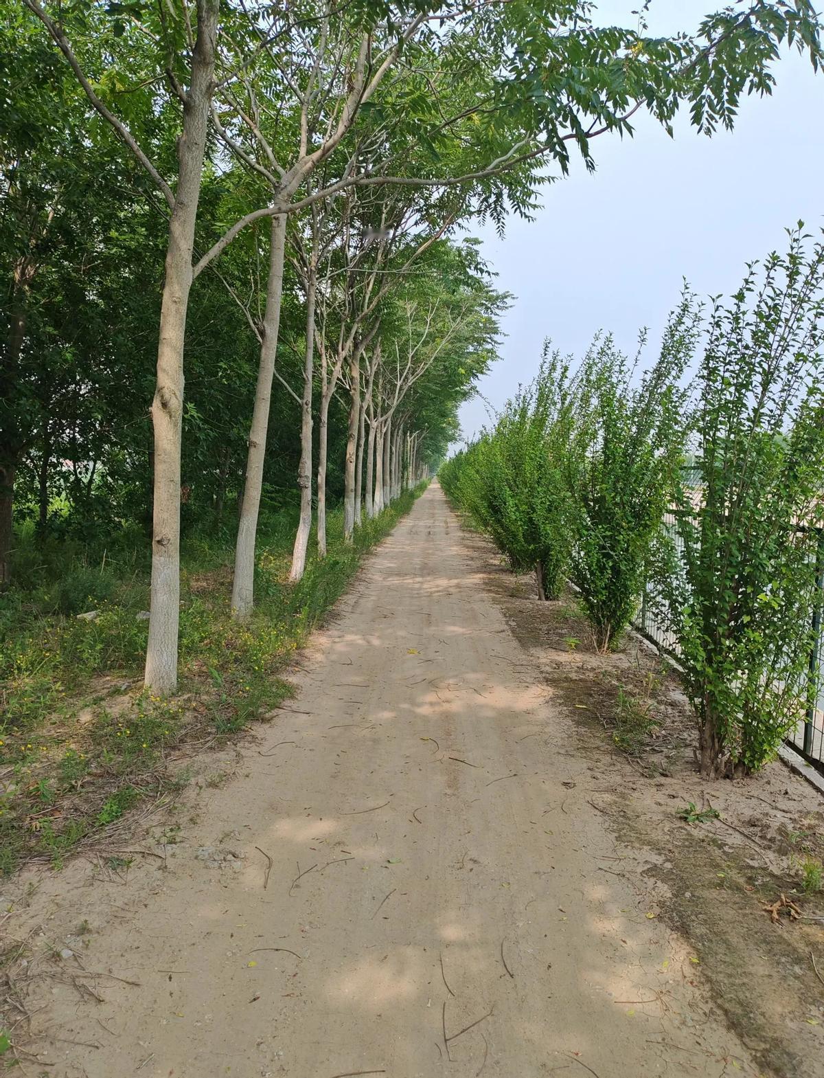 退休后的日子，比上班累了十倍。别不信，这可能就是你的明天。本以为终于能歇
