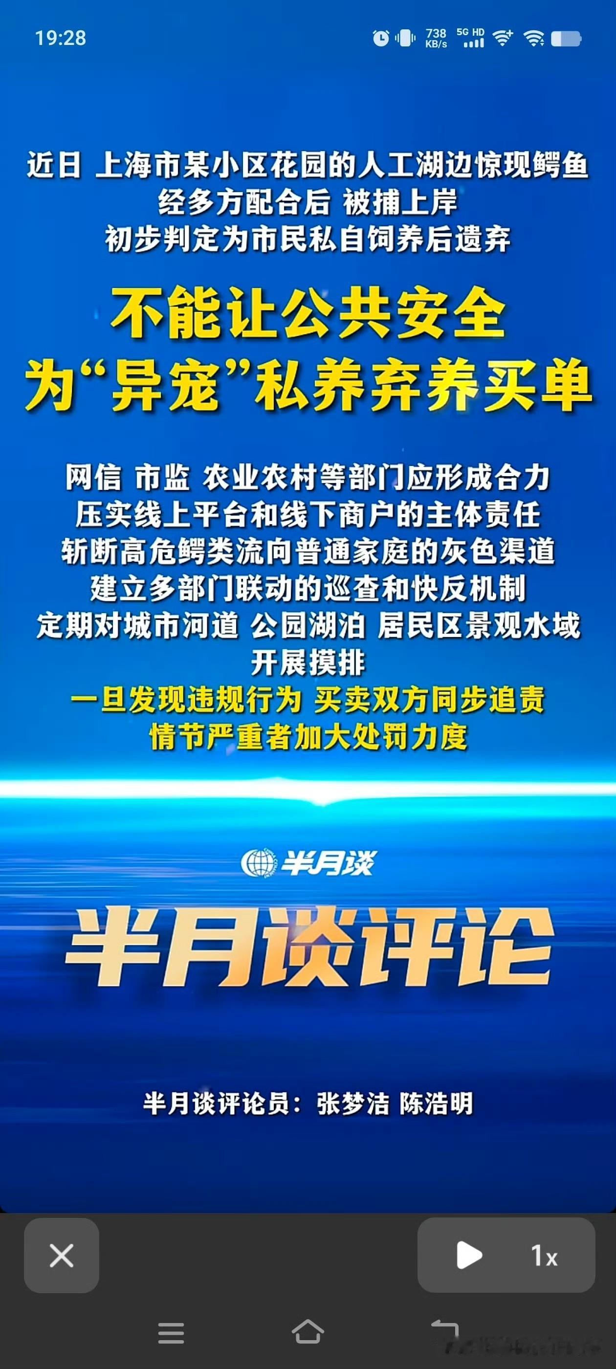 鳄鱼？？？宠物？