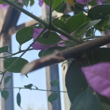 生活再难，也要往前闯​​​