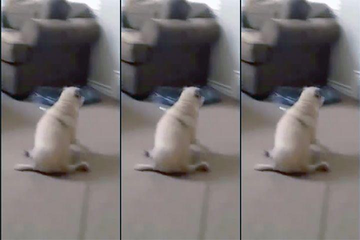 6451227619650960427.jpg?id=0