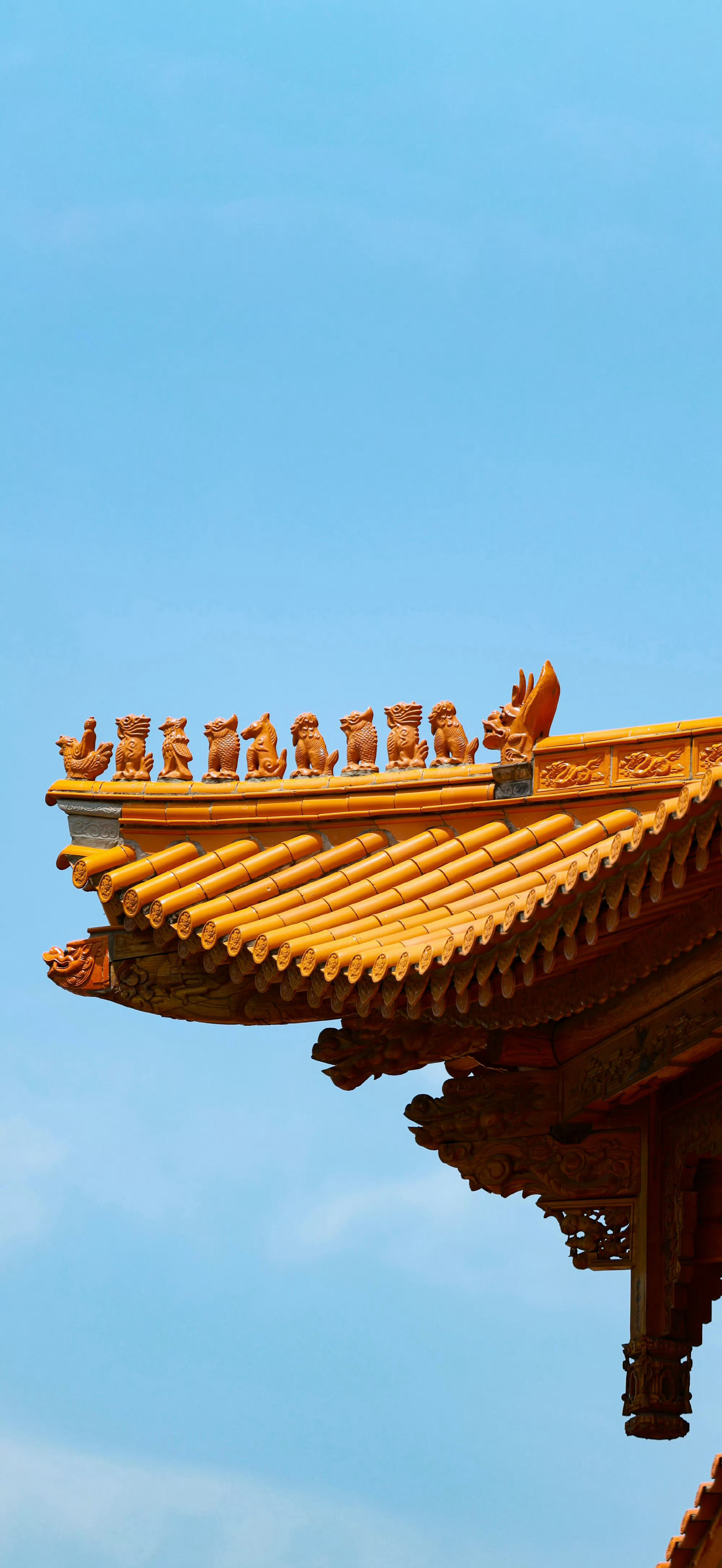 壁纸来到。南京
