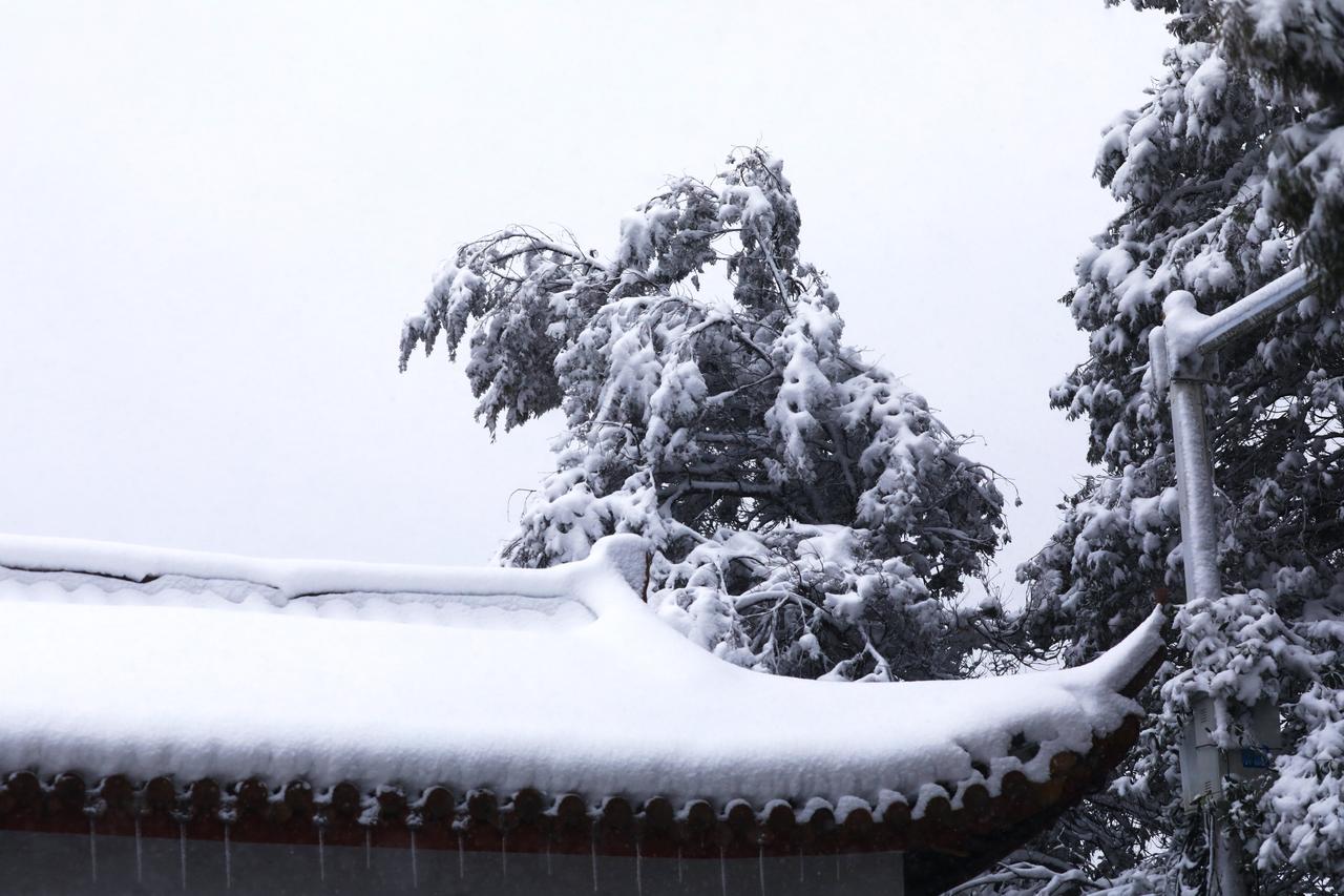 今天，我们迎来了二十四节气中的第23个节气，冬天的第五个节气——小寒，也标志着拉