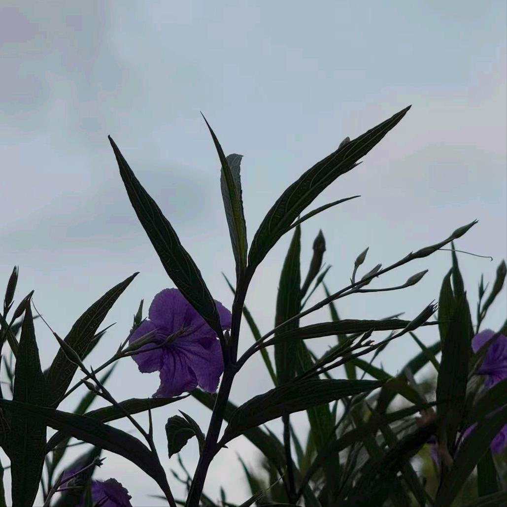 今天傍晚  浙江：执纪审查1人 4月17日傍晚，该省执纪审查1人，为今年7