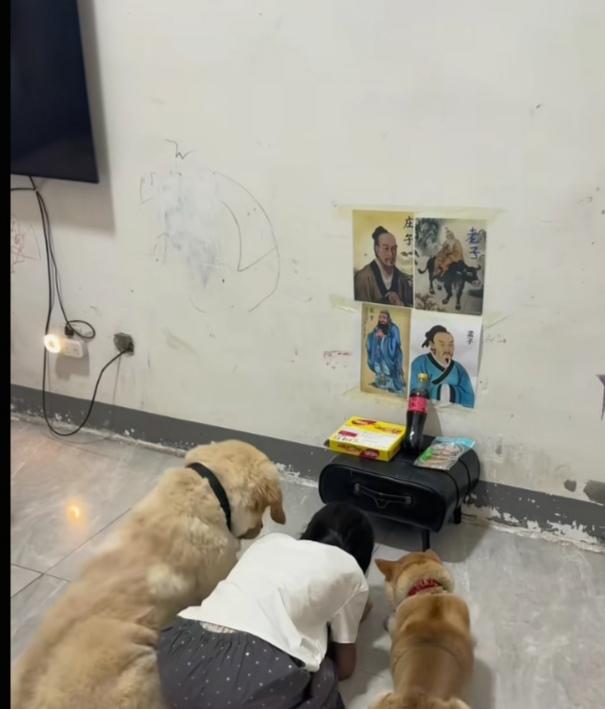 明天就要高考了，女孩这又拜上了。她拜是为了考个好成绩，也不知道这俩狗子也拜是为了