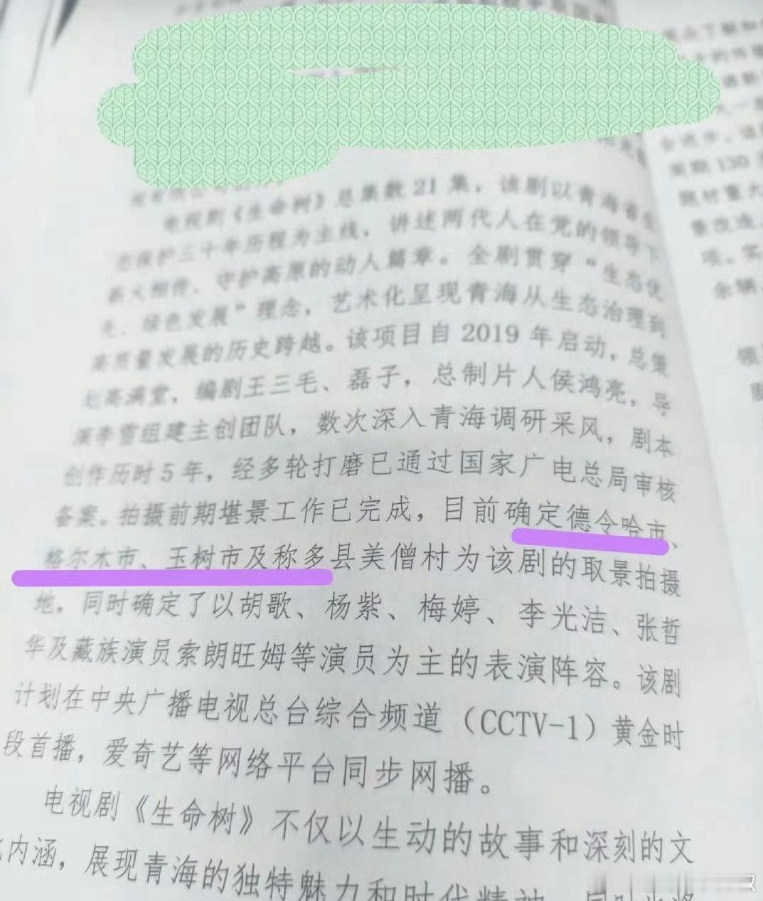 《生命树》这是板上钉钉半官宣了😳，主创确定胡歌、杨紫、梅婷，一堆老戏骨​