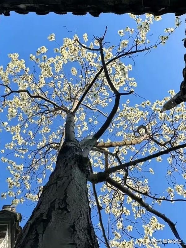 去了一趟“5A”景区，还没进山，钱包先瘦了一圈！最近总刷到一种说法：国内不少