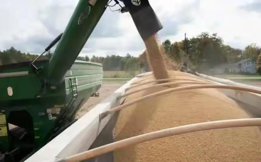 大豆爆仓逼得美国农民纷纷倒戈,这真是让特朗普的关税政策遇上了票仓革命!中粮集团最