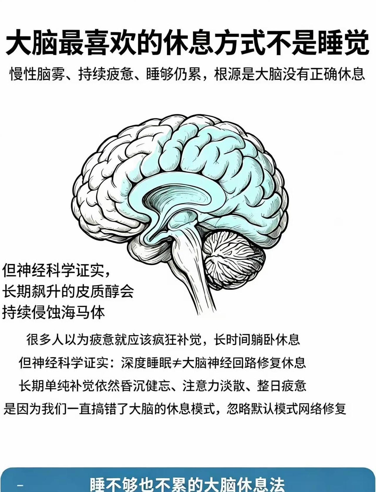大脑最喜欢的休息，居然不是睡觉！睡够依然疲惫，是搞错了休息模式明明每天睡够