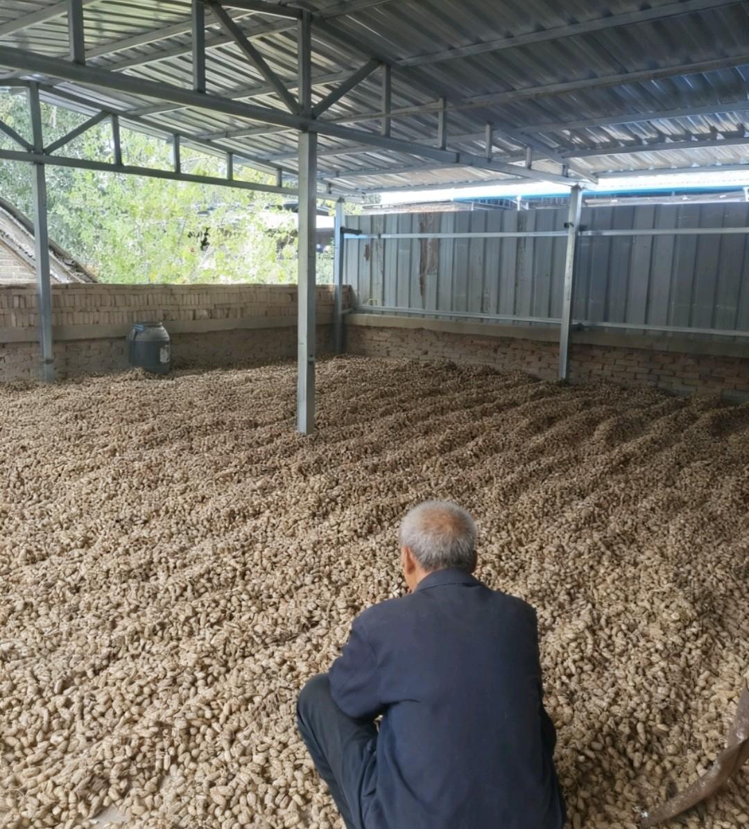 我同事前几天给她老爸转了3000块钱过节费，她知道这钱一到她爸手里，他转手就会给