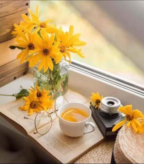 年底的快乐是卡罗拉给的