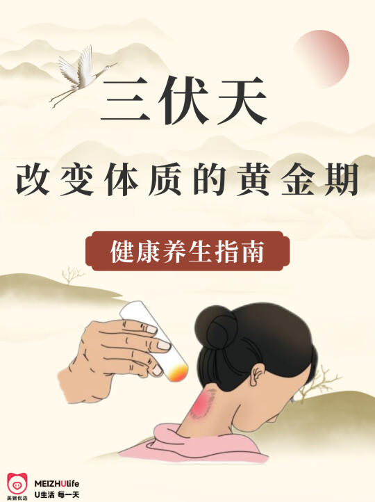 三伏天做好这几个小习惯，养生更有效！
