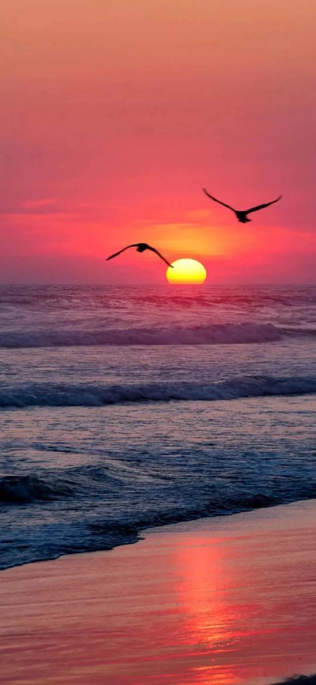 小运播报：2026年1月31日，星期六，农历腊月十三(乙巳年己丑月乙巳日)，法