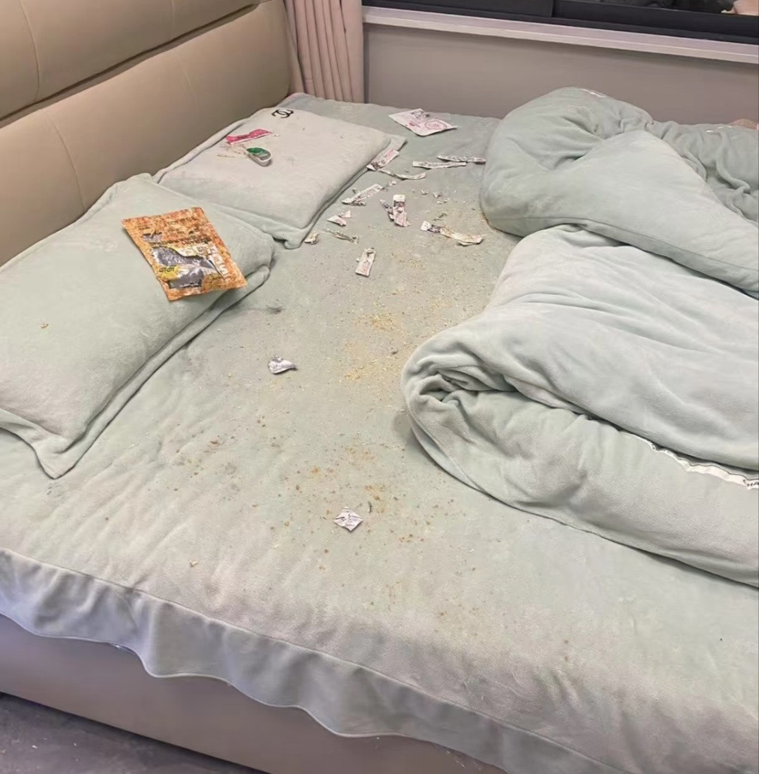 总晒猫猫可爱图，今天来晒晒猫猫惹祸图，也打消一些人想养猫的念头这是这只小猫一天惹