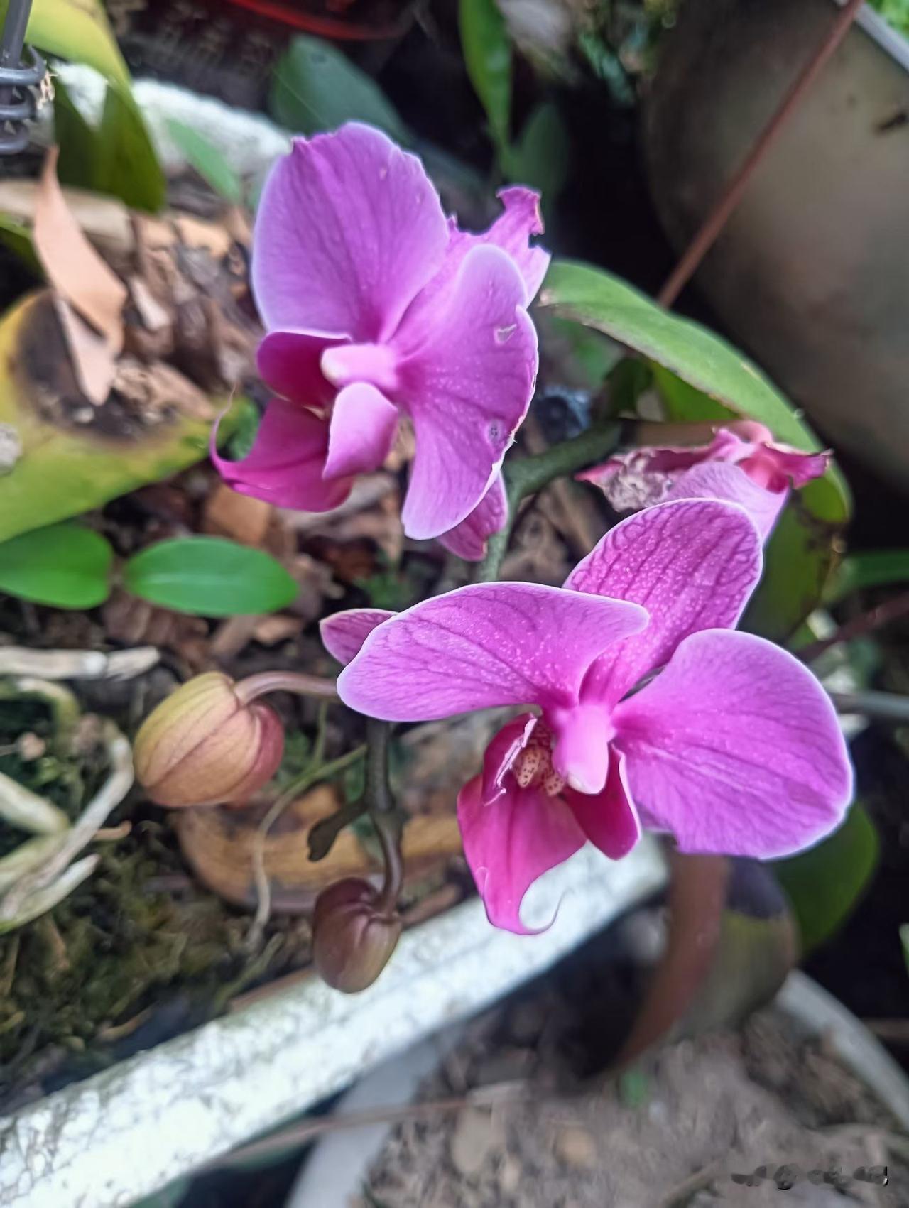 我闺蜜五一咬牙花了5000块出门旅游，回来跟我痛心疾首地总结了六件事，听完我笑得