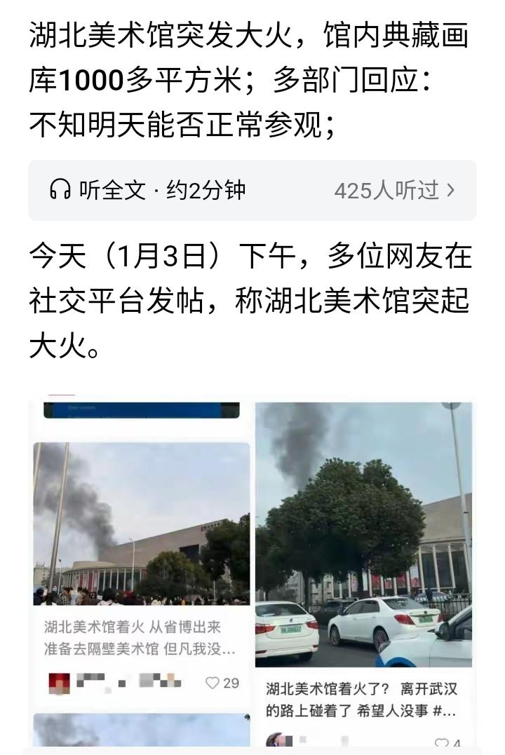 果然着火了！网友们早就说过，会有博物馆、美术馆着火的，因为账目对不上，不知湖北