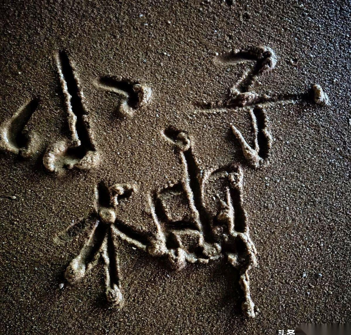 这段关于明天A股变盘的推演，把窗户纸直接捅破了：接下来的盘面，不是带你狂欢，就是