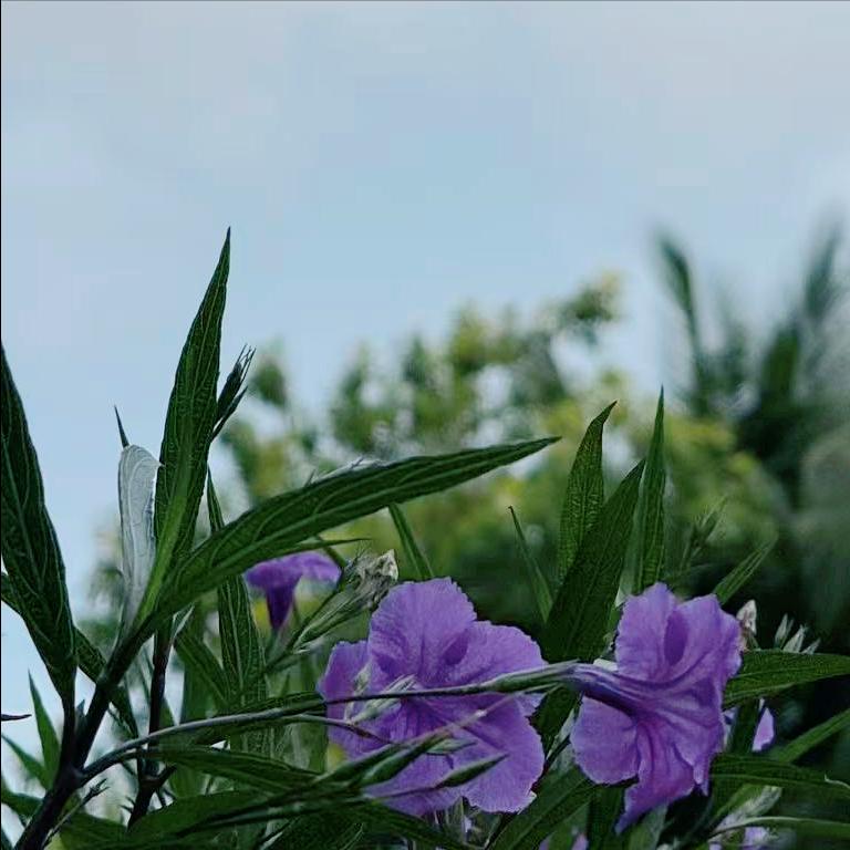 今天上午  河南：执纪审查1人 4月15日上午，该省执纪审查1人，为今年5