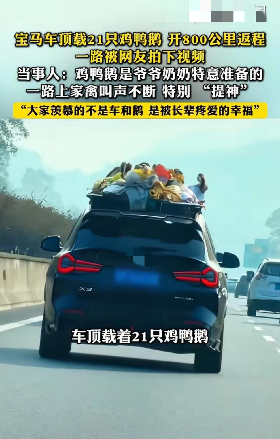 近日广西玉林，一男子春节后开车800公里返回广东，车顶上载着21只鸡鸭鹅！路上有