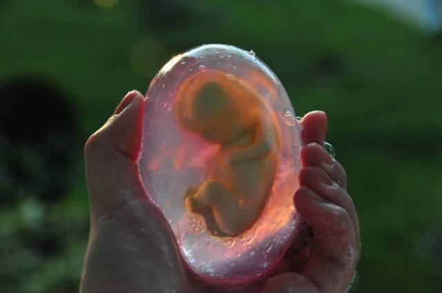 宝宝在妈妈肚子里面最害怕什么? 最后一个很多人都不知道!