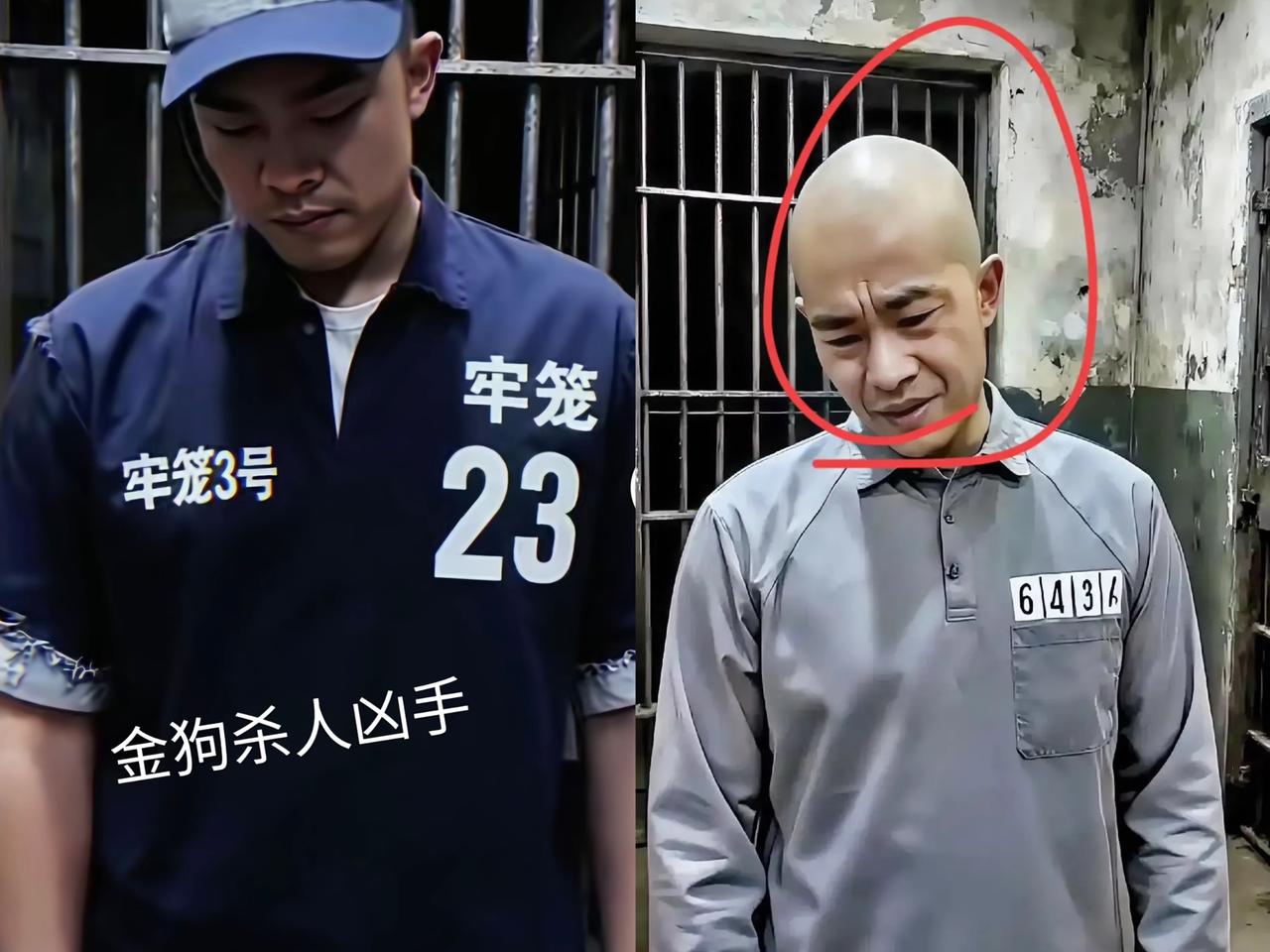 好消息，金毛在看守所待够了，想回家。可有些家伙啊，在家时横行霸道、一