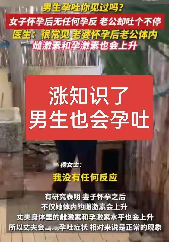 涨知识了！原来男生也会孕吐！而且很常见，妻子怀孕之后，体内的雌激素会上升从而引起