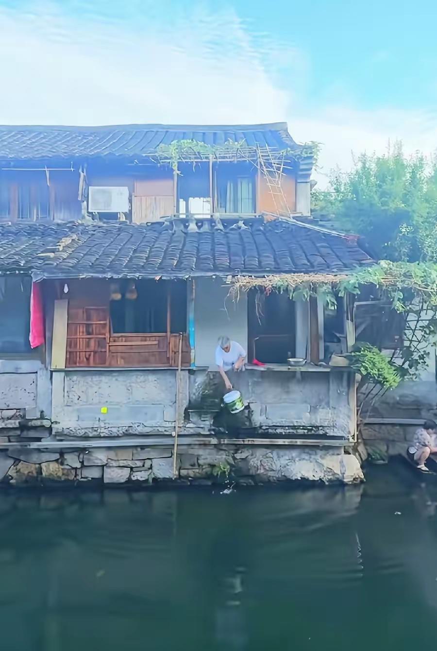 葫芦藤还在，葫芦没了。剪完葫芦后的第一个清晨，葫芦爷爷照常趴在阳台上打水。白