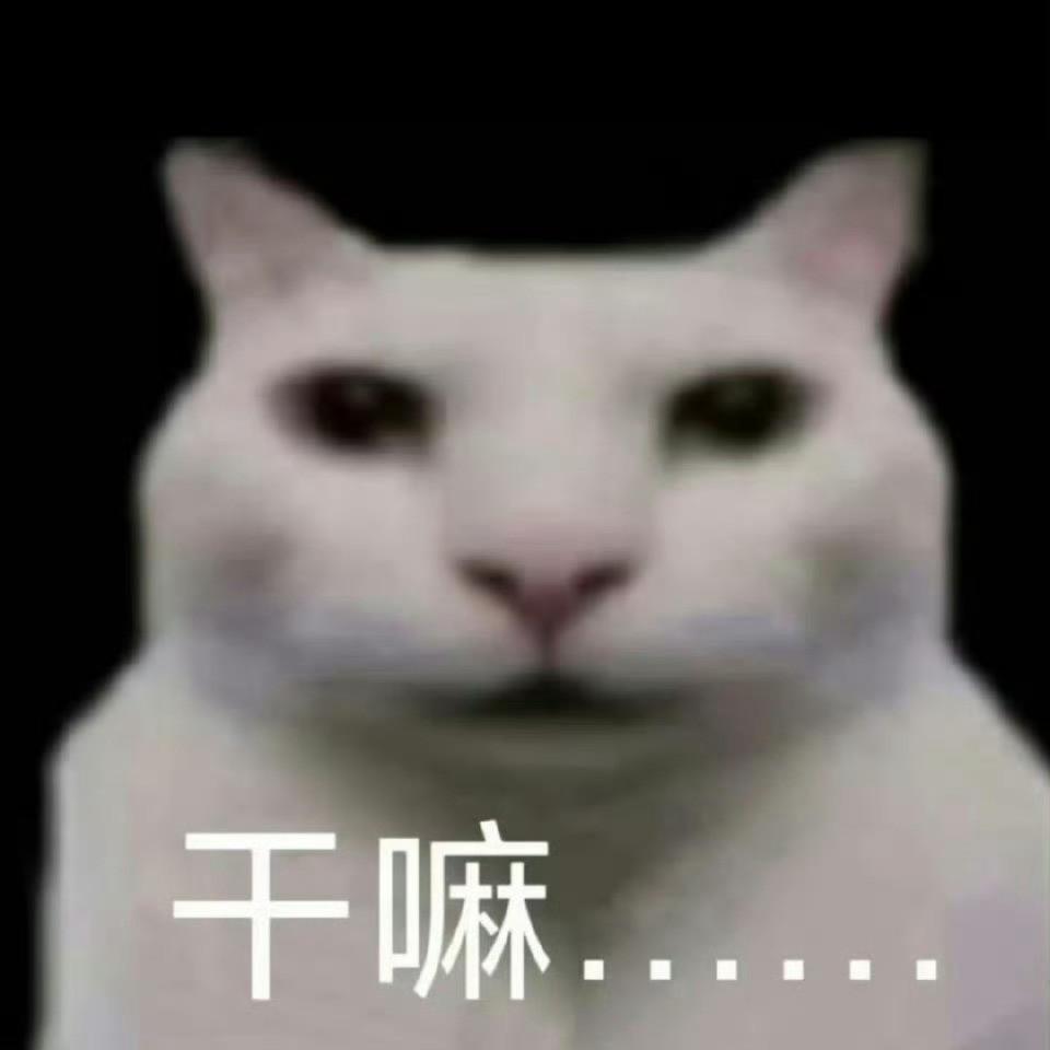 大眼我讨厌你😠