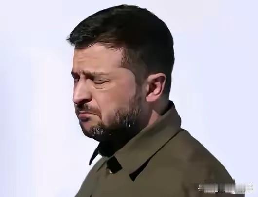 乌克兰已经万劫不复！你没看错，乌克兰最好的路是中立，在泽连斯基之前的总统都是