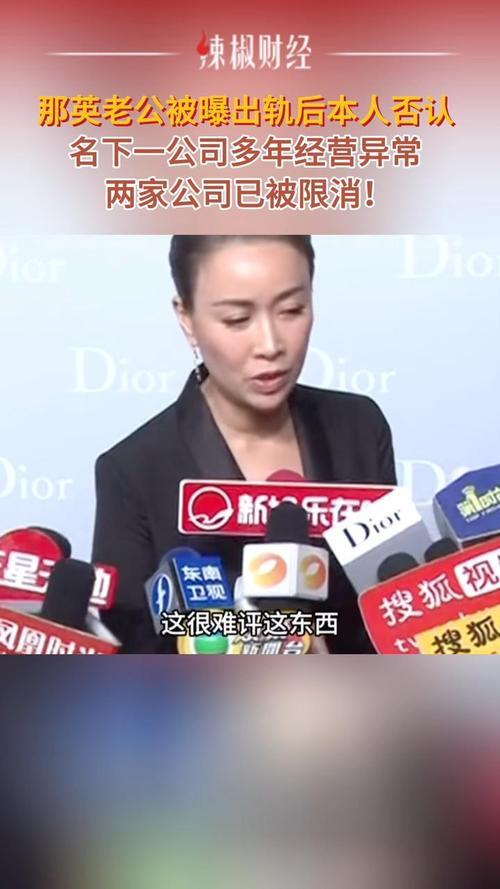 企查查APP显示，那英老公孟桐名下关联12家企业，其中北京隆泰天润餐饮娱乐有限