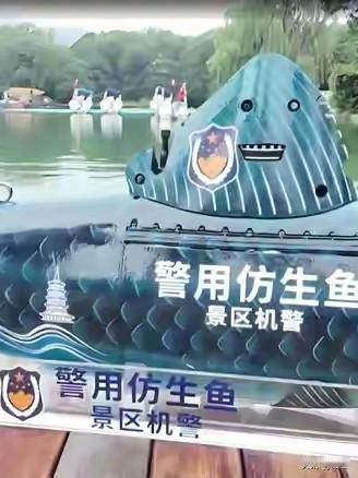 杭州西湖，水面一条一米多长的青鱼来回游动，凑近细看，鱼鳍上居然印着一枚警徽……
