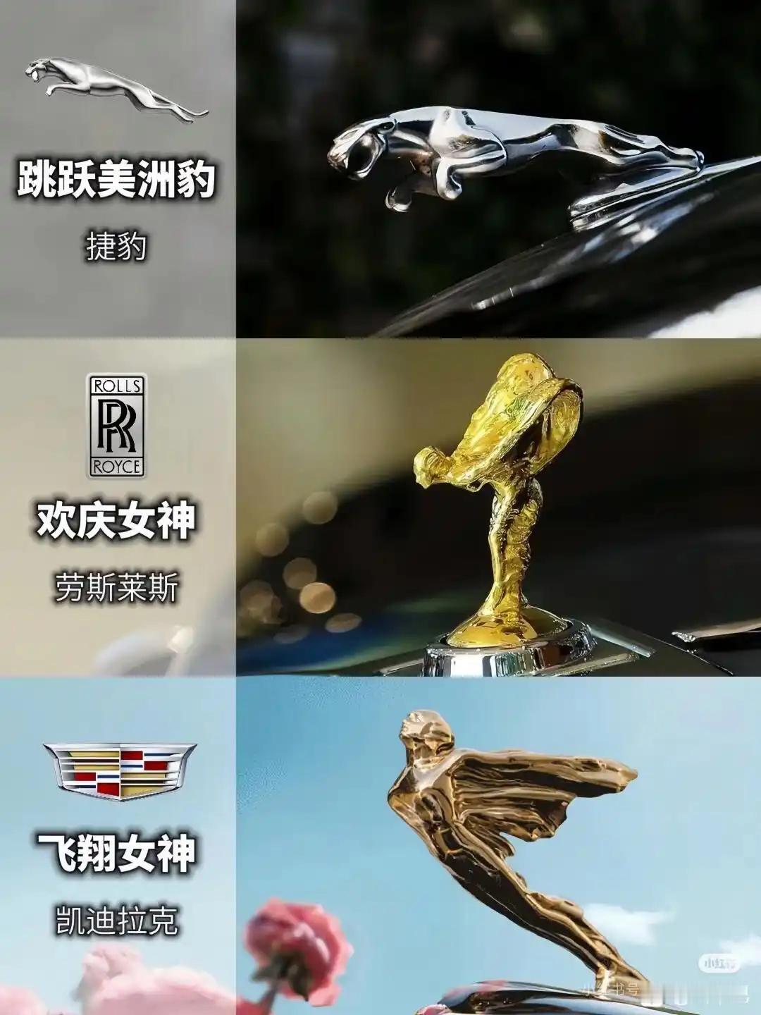 立标哪家车企设计的好看【来自懂车帝车友圈】