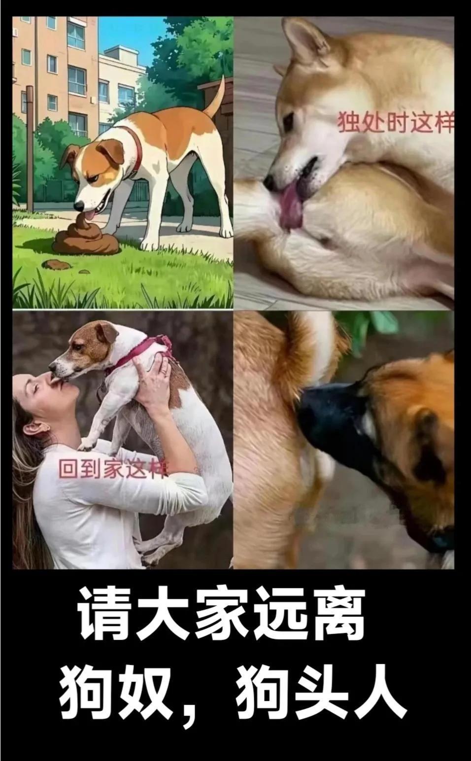 我就问，这个养狗的是怎么做到不恶心的，小时候家里养狗都不让它挨着人，知道它是狗，