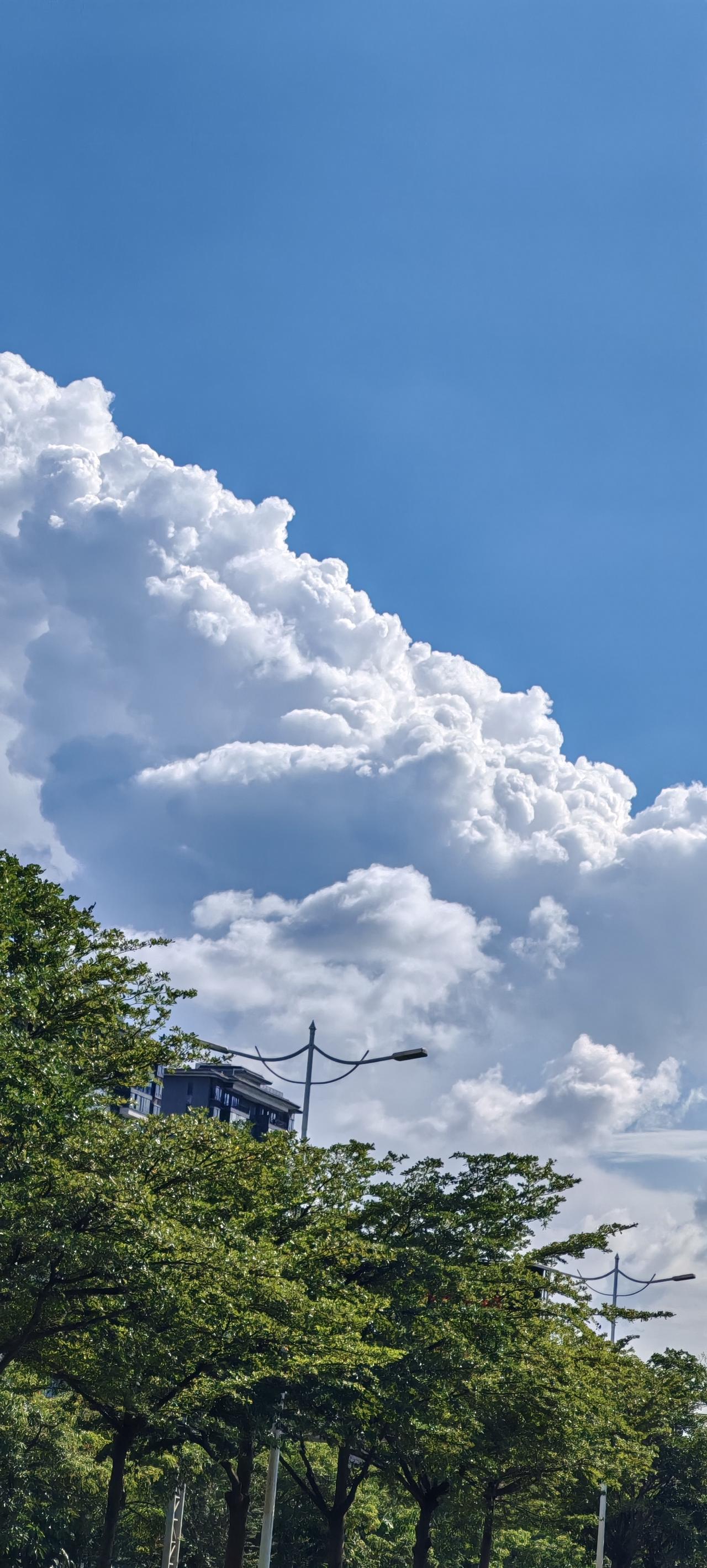真正聪明的人，不是多会争，而是多会躲。躲是非、躲小人、躲烂人、躲掉一些麻烦