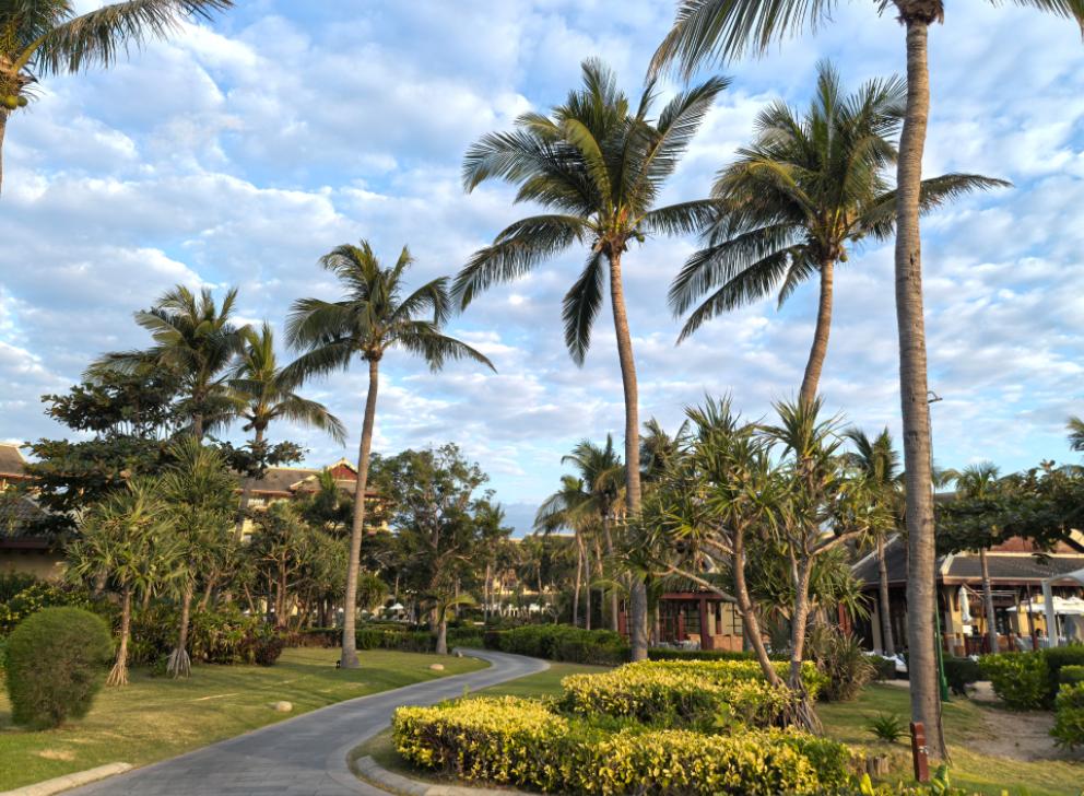 *所以你可以看清斩杀线的本质，就是用来淘汰中产阶级伪精英的，一旦全社会供养不了那