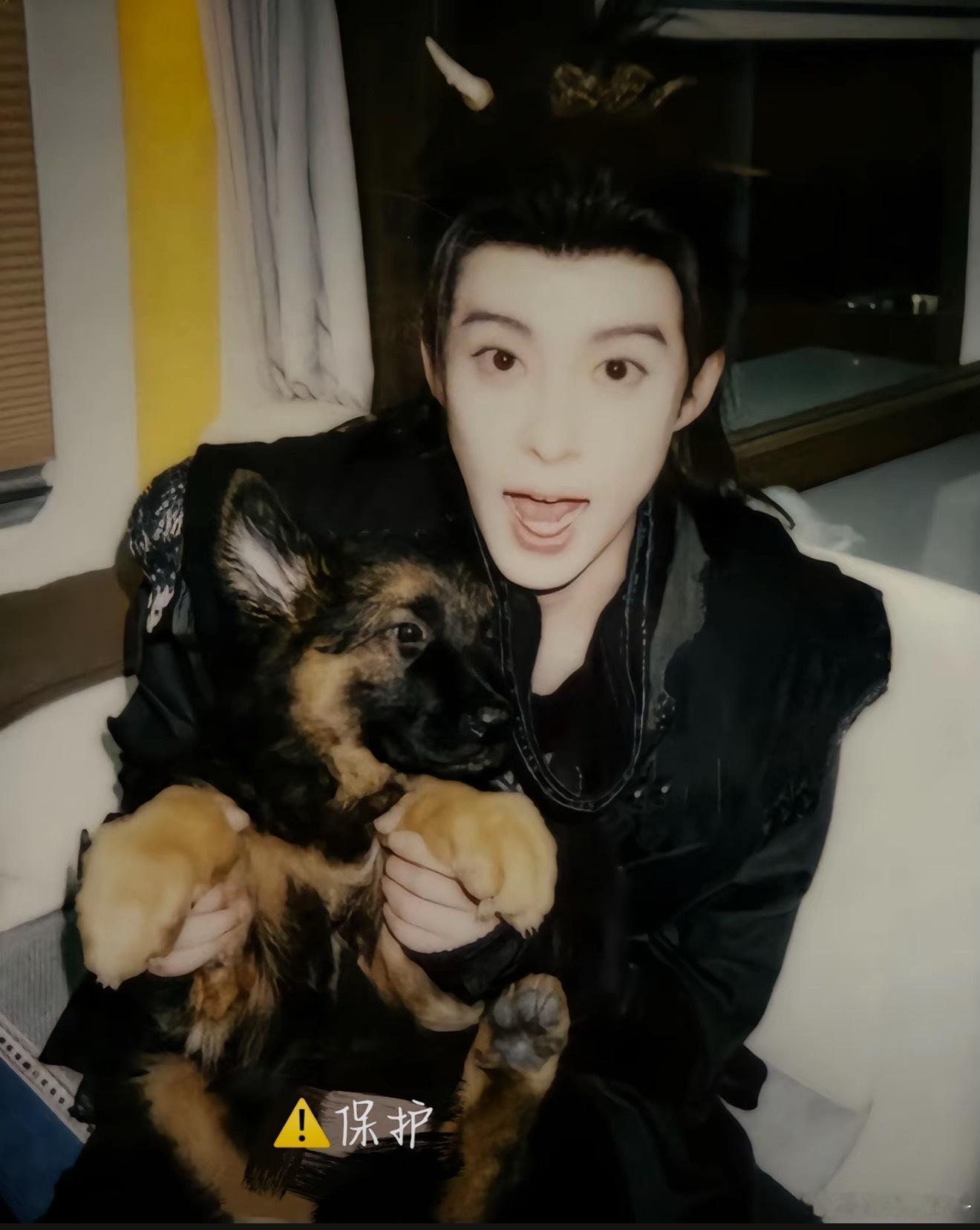 提问🙋‍♀️两张图里一共有几只修狗🐶​​​