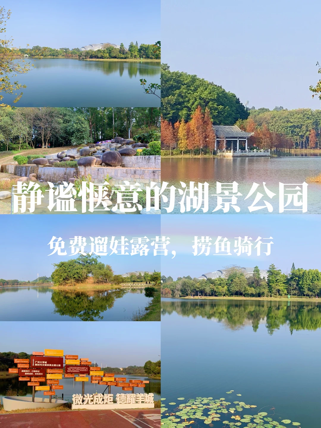 广州静谧惬意的湖景公园！免费露营捞鱼骑行
