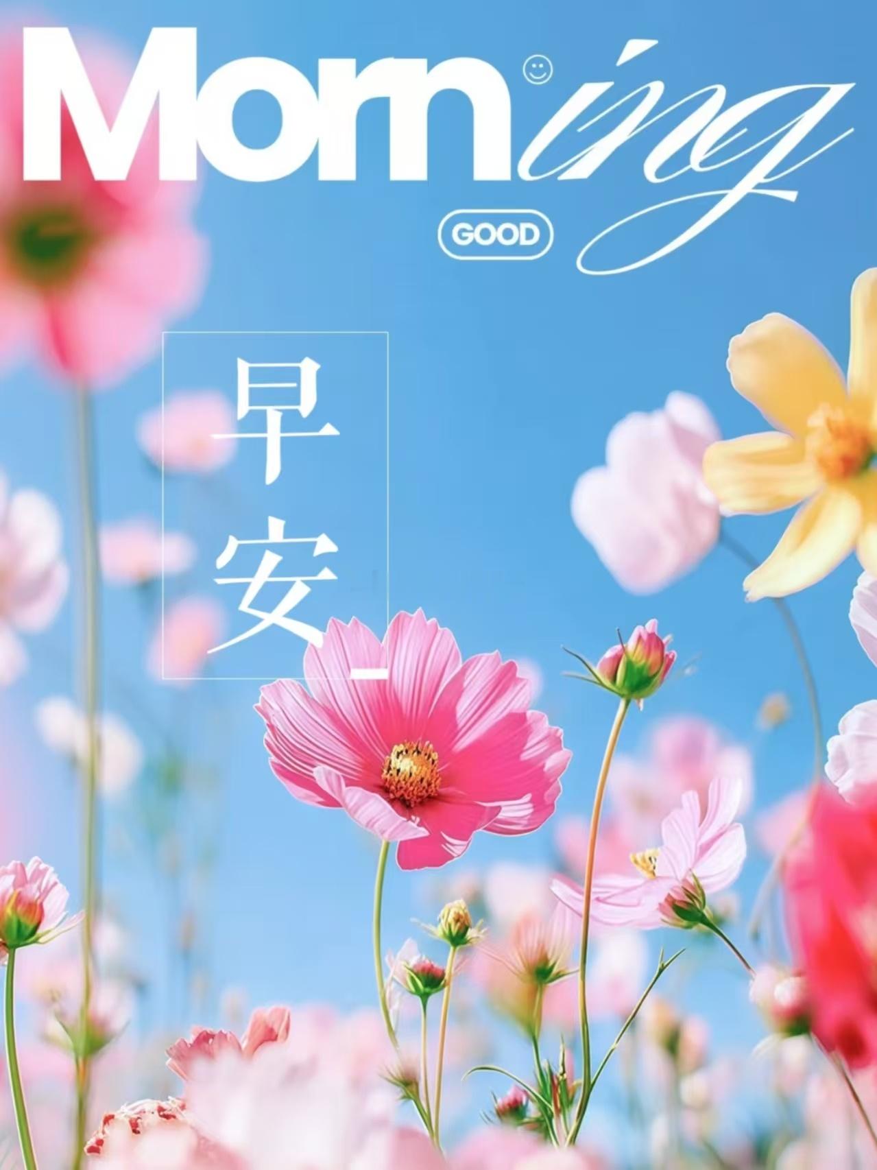 【周一，早安】新的一天，新的开始。愿你今天像阳光一样明媚，像微风一样自由，无论走