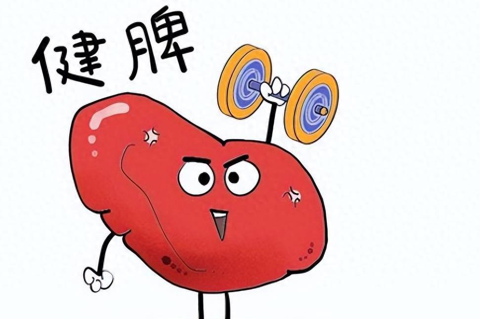 张锡纯仅用2味药，健脾燥湿，化痰，消腹中一切壅积滞，不论虚实大家好，我是中医陈