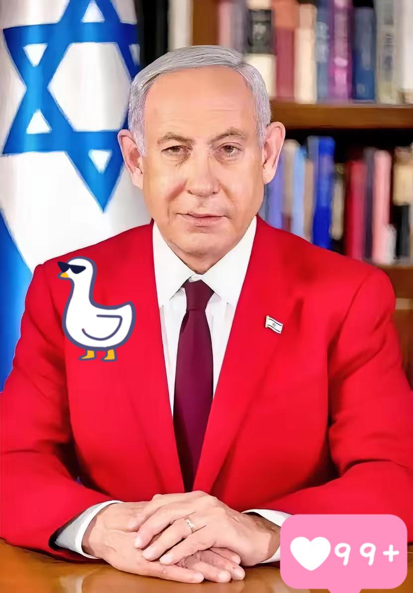 快报！快报以色列突然宣布了12月14日，以色列国防军发布通告，证实自当天上