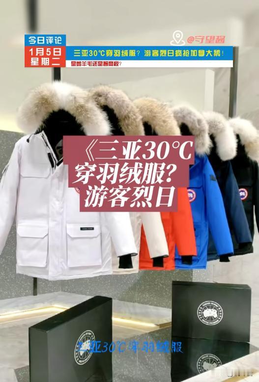 三亚30℃抢羽绒服！6900元加拿大鹅遭疯抢，外国游客扎堆薅羊毛？🔥离谱！三