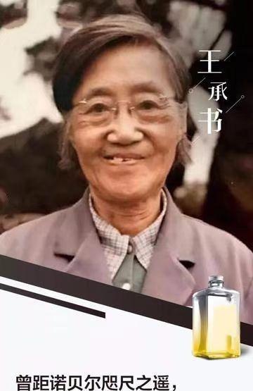 1960年，北大才女王承书狠心抛弃丈夫和孩子后不辞而别，从此失去联络。17年后，