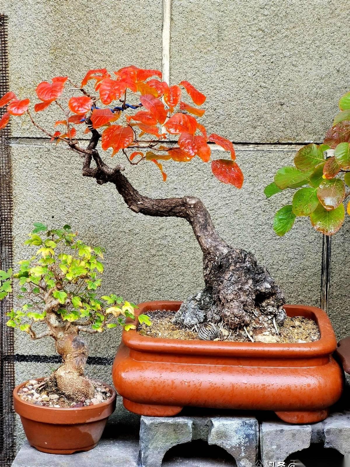 老李的位置，空了。上周还在一起开会，今天就听说“出事了”。就为那半杯酒，一脚