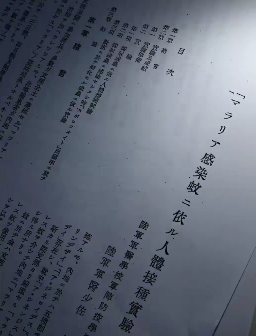 “无论国籍，只要被认为无法对国家和战争起作用，就可能被当作实验对象。”这句话，出