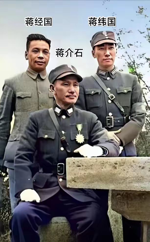 蒋介石两个儿子论长相，养子蒋纬国更像老蒋。蒋经国是由蒋介石和原配夫人毛福梅所生。