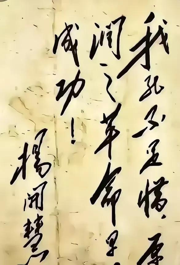 “我死不足惜，愿润之革命早日成功！”1949年8月，湖南解放。杨开慧的哥哥杨开